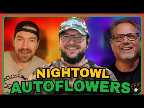 Autoflowers: Industry Insider Pro-Tips w/ Daz of Nightowl Genetics