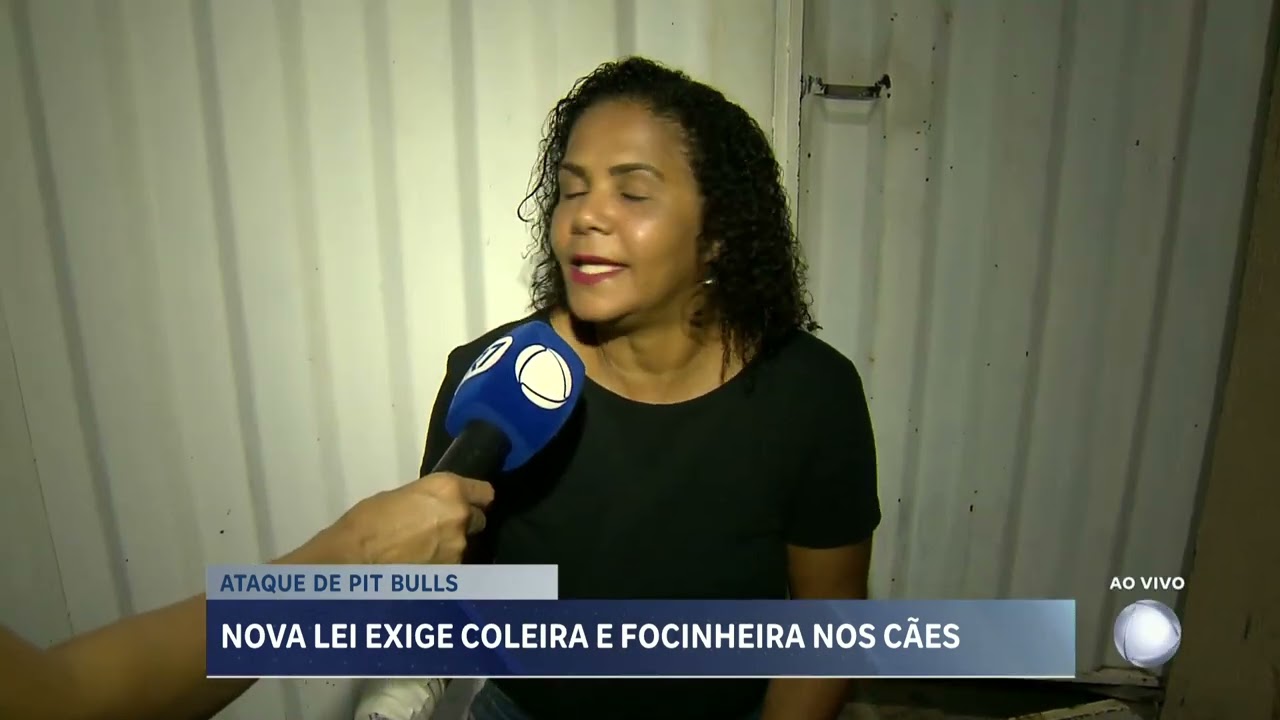 Ataques de cães da raça pitbull podem gerar multa de até R$16 mil para tutores em Minas Gerais