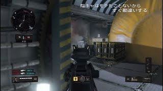 BO3のリメイク武器！VMPで無双！！