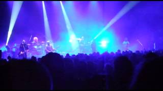 The idea - Adam Ant (live)