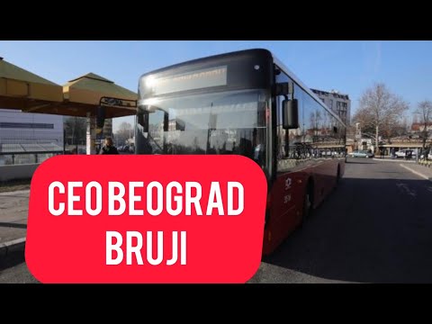 CEO BEOGRAD BRUJI O VOZAČU SA LINIJE 51: Zadržao dete (12) u autobusu, dao mu čokoladicu, a onda...