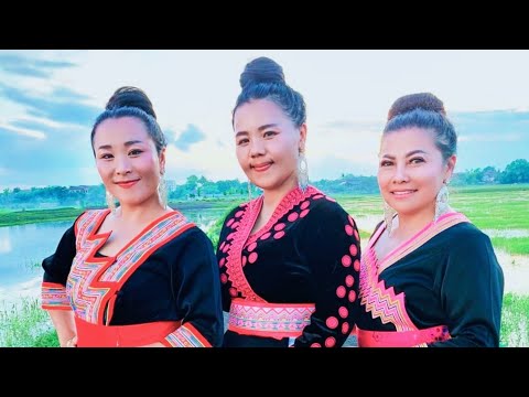 nyuj laus noj zaub mos ( official) By Dawb yaj & maiv vaj & xia vaj