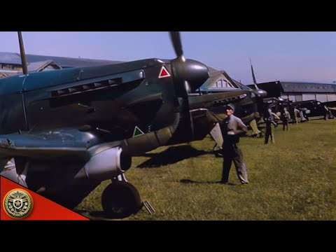 Morane-Saulnier M.S.406 (D.3801) & B-24 Liberator over Switerzland in ww2 {Colorized & Enhanced}