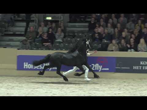 Compilatie rubriek 4