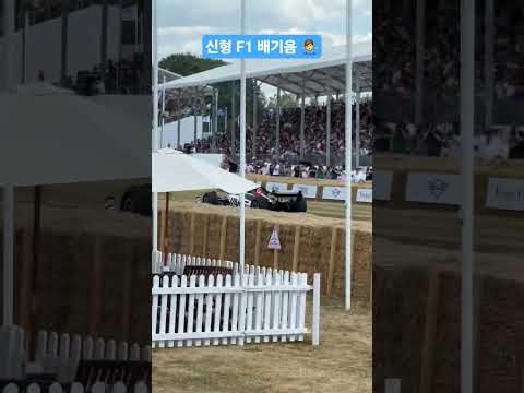 신형 vs 구형 F1 배기음!