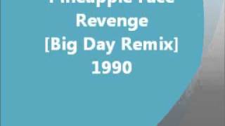 Indie - Revenge [Big Day Remix] - Pineapple Face (1990)