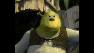 Top 5 Shrek