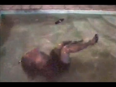 Wet black dress, wet tights