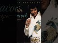 Elvis Presley Ai cover "Vain Peacock  (original song) #ai #elvis
