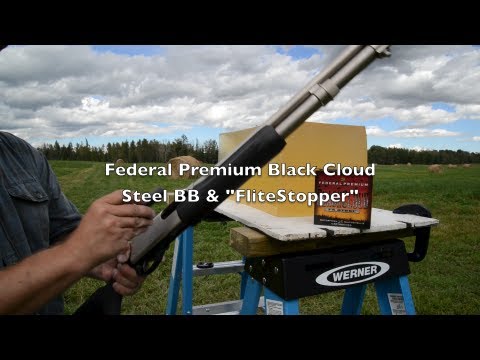 Ammo Test! 12 Gauge BB - Federal Black Cloud Steel