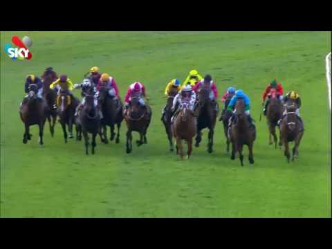 Ascot 031216 Race 8