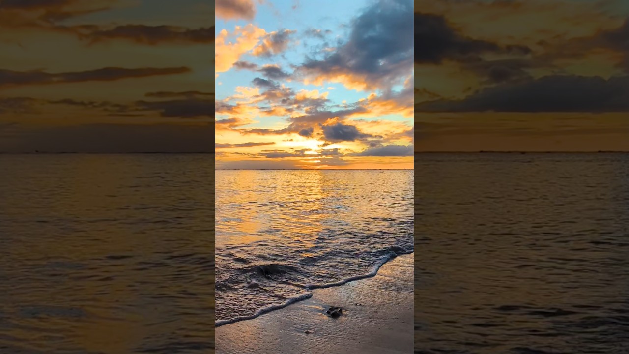 😌🎧一瞬で心癒される波の音 #睡眠 #リラックス #ストレス軽減 #海の音