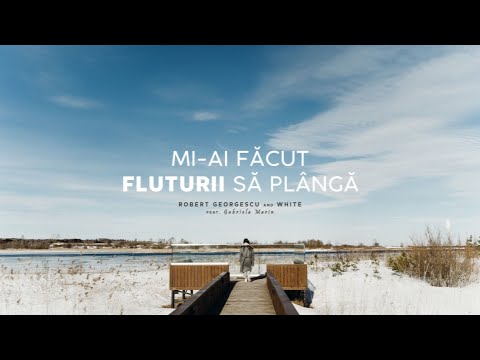 Robert Georgescu and White ft. Gabriela Marin - Mi-ai făcut fluturii să plângă(Official Audio)