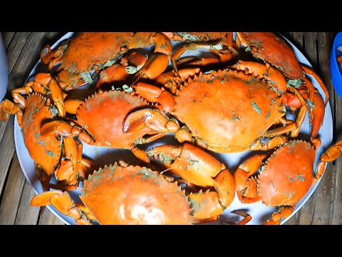 Pulang Alimango nahulli namin Part 2