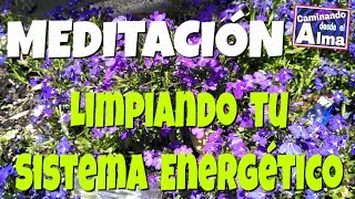 Meditaciones de Sanación