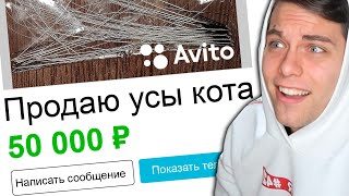 Самые смешные объявления на АВИТО (приколы)