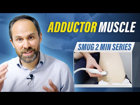 Adductor Muscle -  2 min series MSKUS