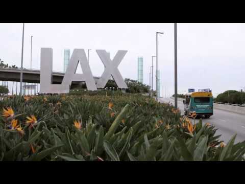 Discover L.A.'s Neighborhoods: LAX Corridor