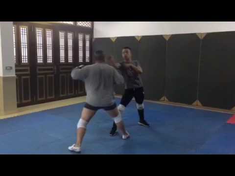 bruce lee's one inch punch