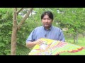 Soaring In The Wind The Science Of Kite Flying