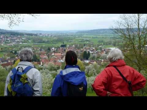 28.April 2013 Pretzfeld Kirschblüte