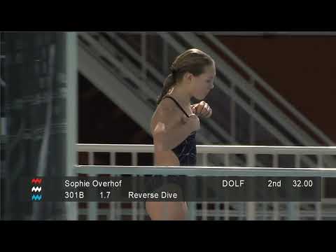 Girls & Boys C Platform - Eindhoven Diving Cup 2025