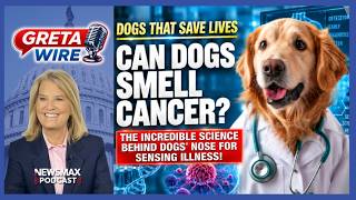 Can Dogs Smell Cancer? The Science Behind Their Incredible Medical Detection Skills | Greta Wire