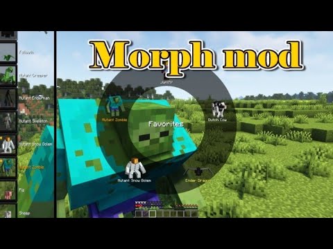 Juri TV - Minecraft 1.16.5 - Morph mod