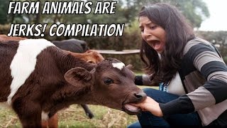 Farm Animals are Jerks