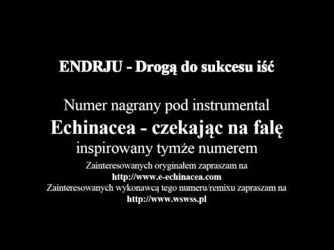 Endrju - Drogą do sukcesu iść (Echinacea - Czekając na falę INSTRUMENTAL)