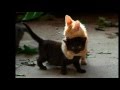 You Got Me By Gavin Degraw Lyric Video