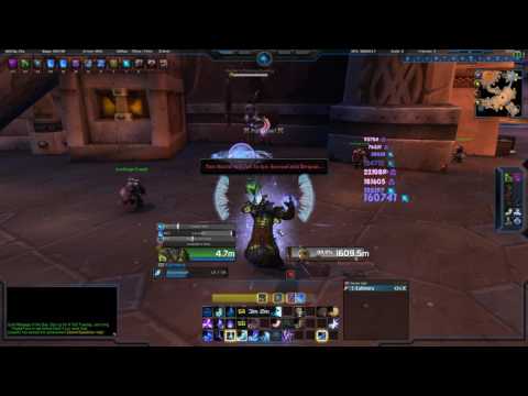 7.2.5 Frost Mage Basic Thermal Void Guide and Rotation