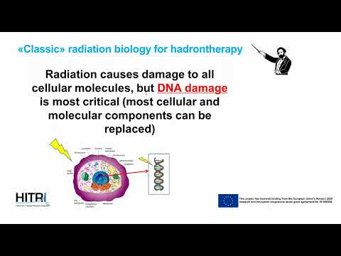 HITR Lecture 8: Radiobiology for Hadron Therapy
