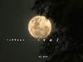 Iravaga Nee Nilavaga Naan Whatsapp Status