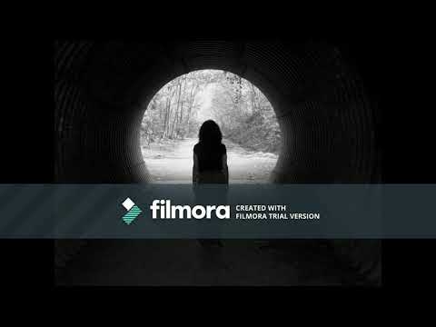 Unstable Son feat. Lily Und Wolf - Dystopia (Martin Roth Remix)