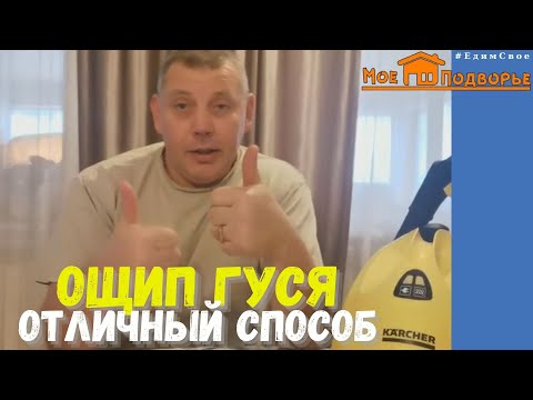 Perfect Goose Plucking. Karcher SC 2: A Detailed Review and Real-World Results #MyBackyard