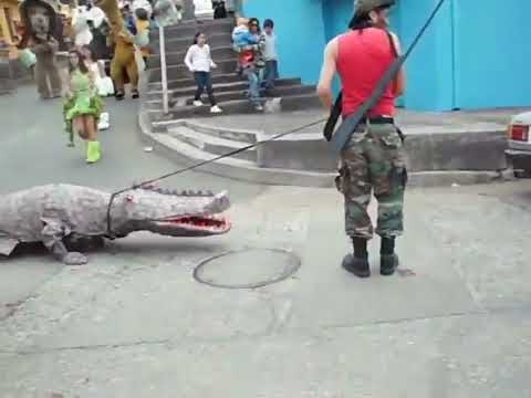 murga cerro David fuentes 2012 los animales se toman el carnaval de Talcahuano