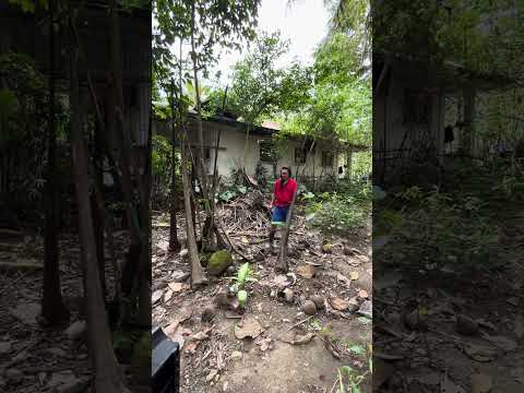 Clean surroundings l clear mind l Let’s make our environment shine