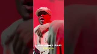 Download lagu Alikiba - On Fire mp3 Download lagu Alikiba - On Fire mp3