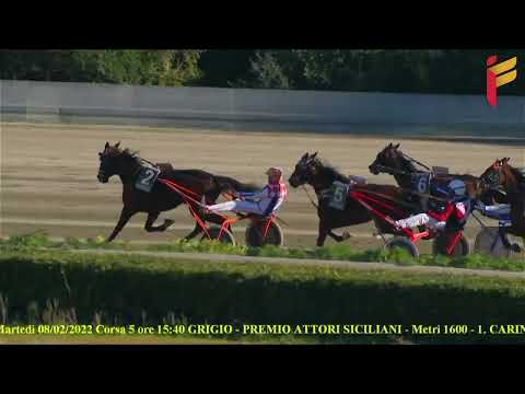 V Corsa del 8 Febbraio 2022 - 4 Anni - Metri 1600 - Gara centrale