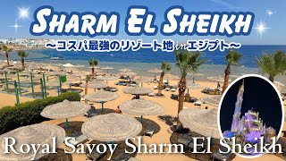 【エジプト】コスパ最強のリゾート地シャルム・エル・シェイク旅行🇪🇬ロイヤルサボイ/Royal Savoy Sharm El Sheikh