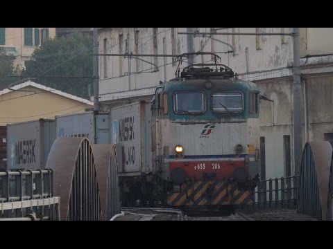 Passione treno in video E655 206