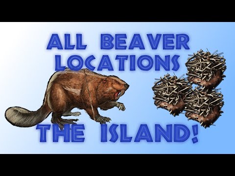 All Beaver Spawn Locations On The Island! | Ark: Survival Evolved (2021)