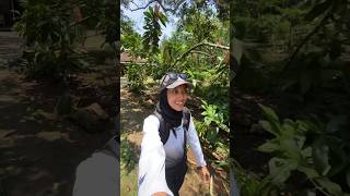 Download lagu CONTINUATION OF THE STORY OF SOLO HIKING THE ANCIENT VOLCANO NGLANGGERAN | PART 4 #sorts #climber mp3 Download lagu CONTINUATION OF THE STORY OF SOLO HIKING THE ANCIENT VOLCANO NGLANGGERAN | PART 4 #sorts #climber mp3