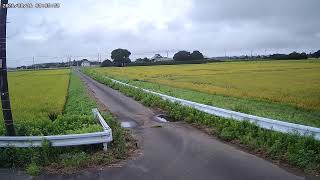 千葉県山武郡横芝光町北清水東里ライブカメラ
