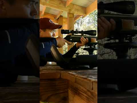 Tikka Review: This Budget Build Makes Expensive Guns Obsolete
