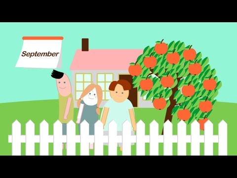 „Wie kommt der Apfel an den Baum“ aus dem Medienpaket „Der Apfelbaum“