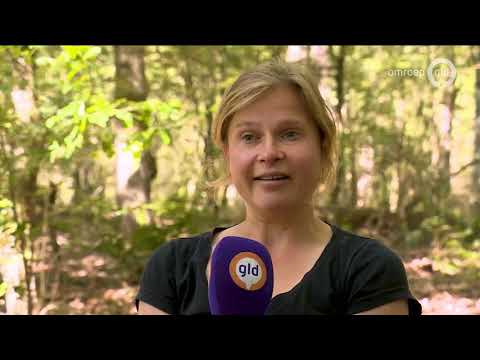 GLD Nieuws 28 mei 2020