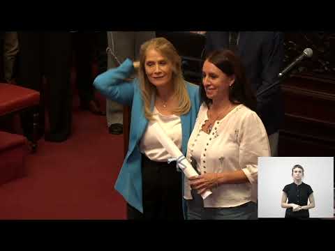 Honorable Cámara de Senadores: sesión preparatoria