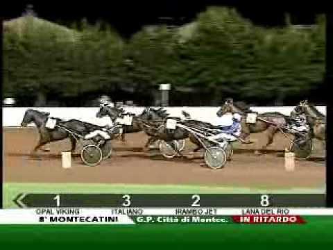 Premio Città di Montecatini 2010 -Opal Viking